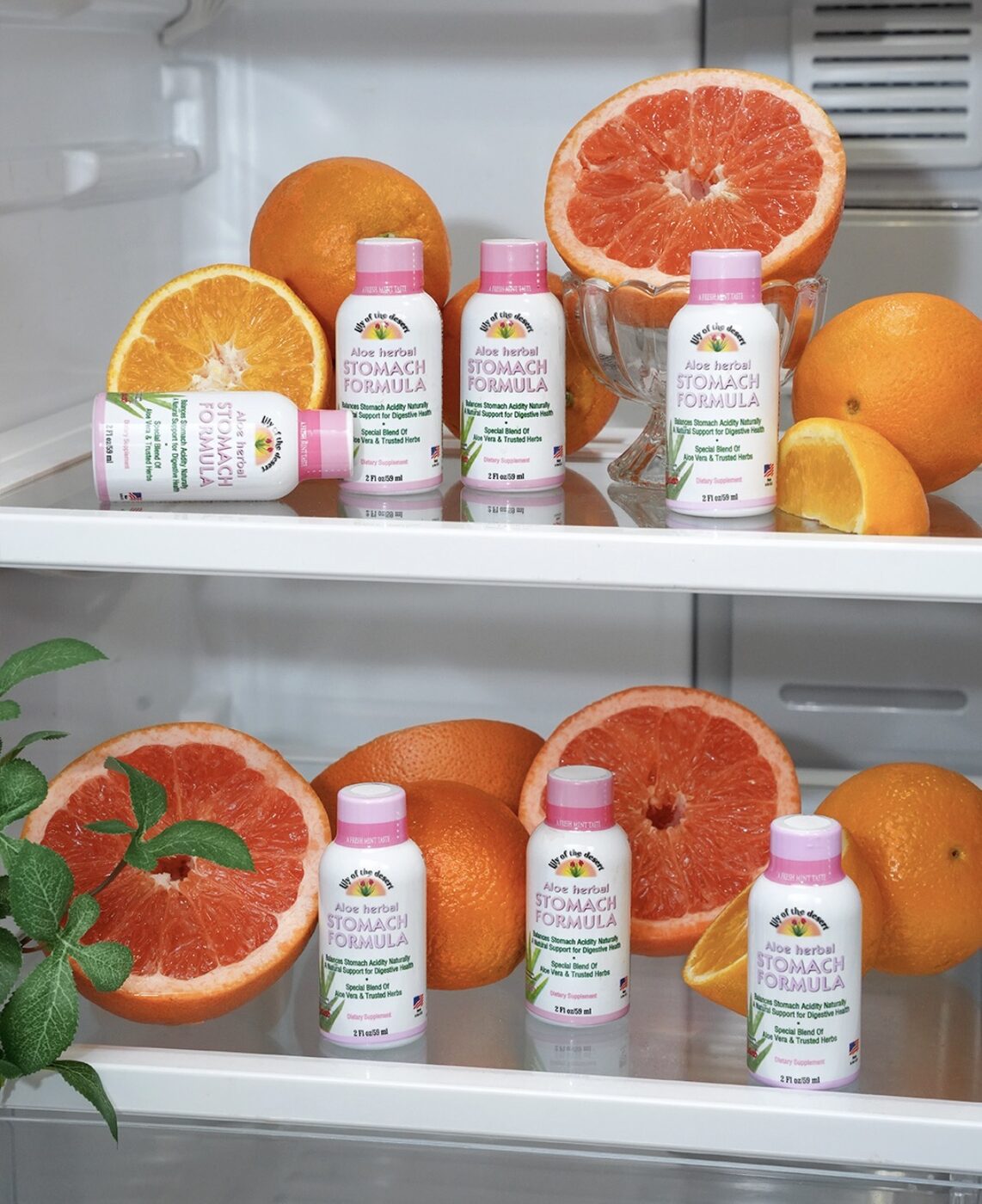 Aloe Herbal Stomach Formula with citrus