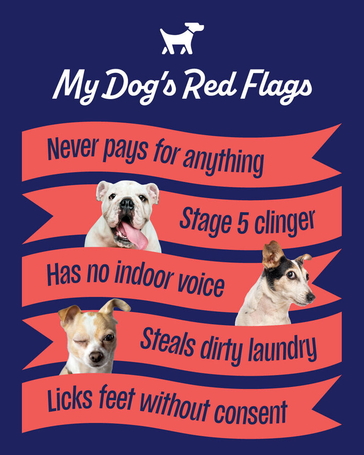 My Dog's Red Flags graphic